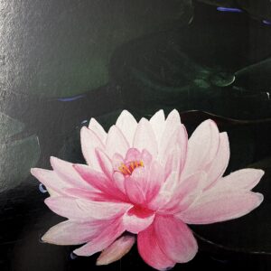 Lotus