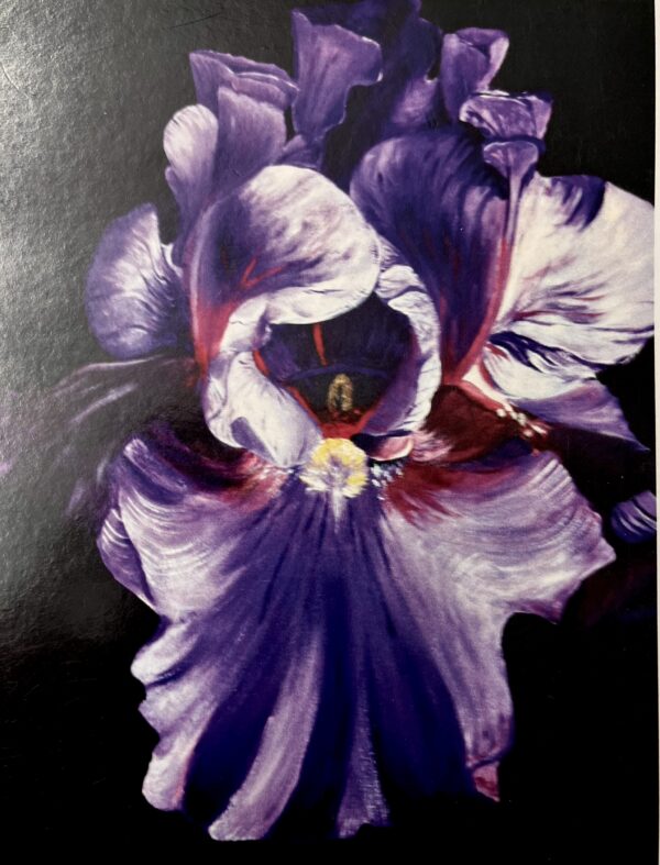 Iris